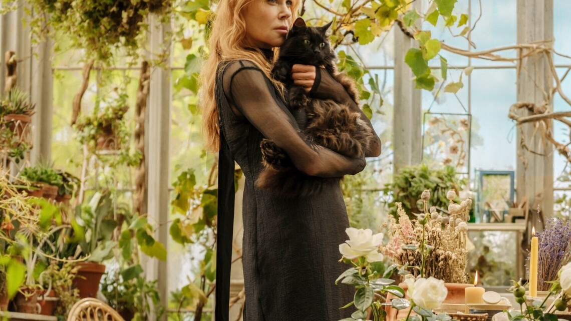 Before 'Practical Magic 2,' Stream Sandra Bullock and Nicole Kidman's Best Movies for Free 