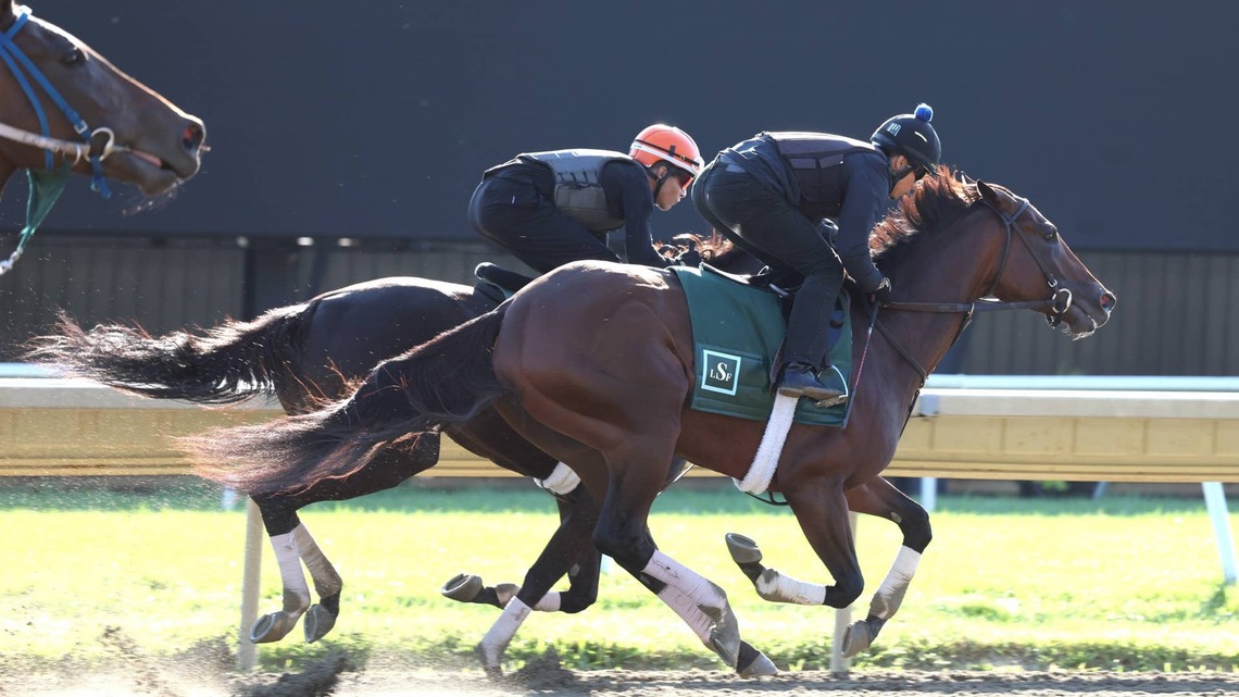 Haskell Upsetter Baby Vino Breezes At Monmouth In Tuneup For Travers 