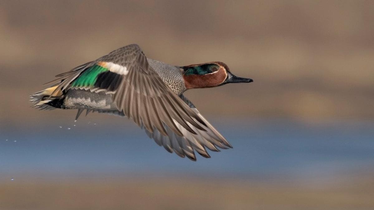 stacker photography
