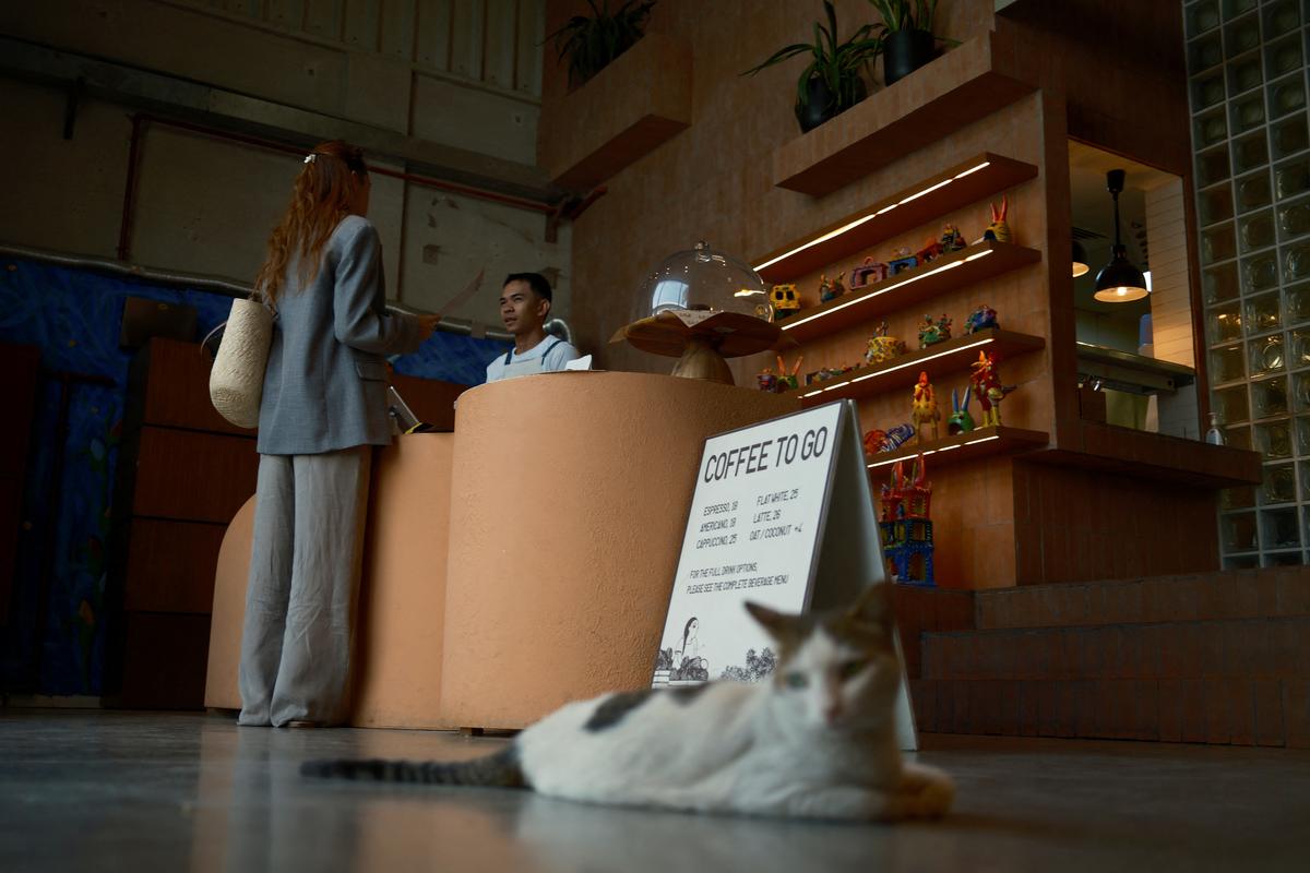 A cat sits while a cashier tends to a customer at Lila Molino restaurant in Dubai, United Arab Emirates, April 28, 2026. REUTERS