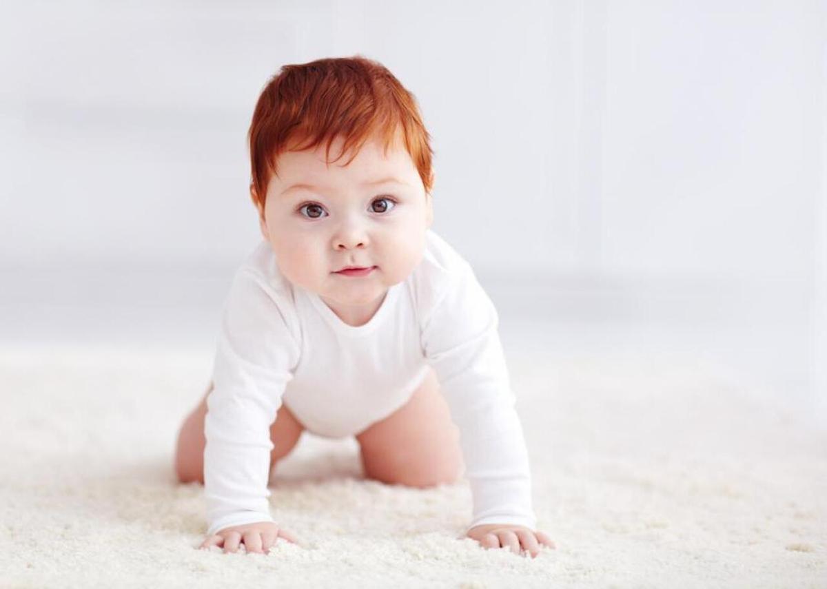  Olesia Bilkei // Shutterstock 