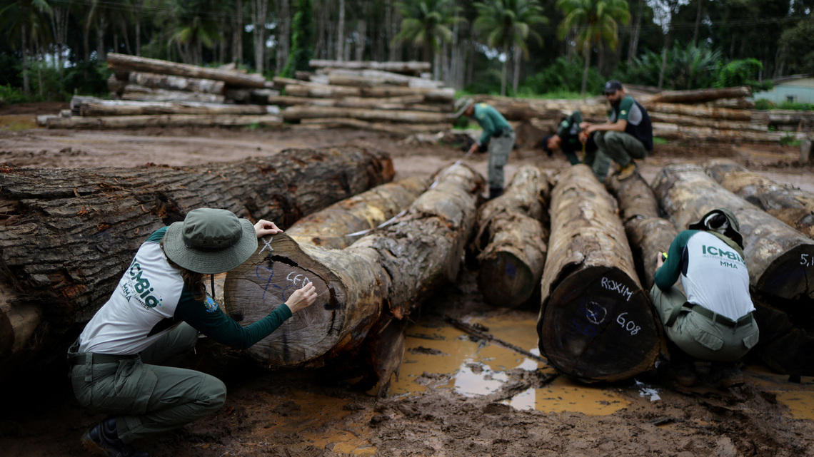 World faces nature reality check at UN biodiversity conference 