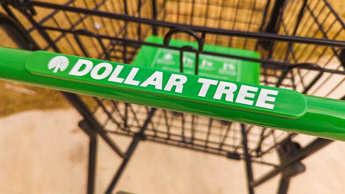 I Went to Dollar Tree To Shop for Dinner and Came Back With These 4 Easy Meals 
