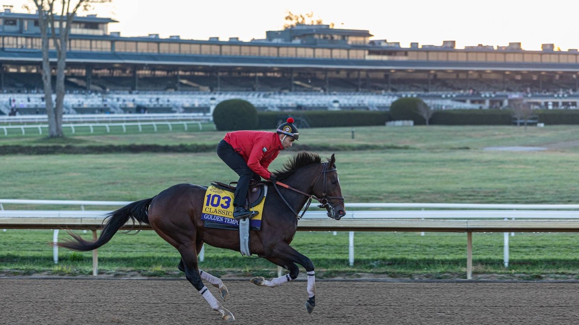 Breeders' Cup Notes: Cherie DeVaux Hoping For 'Fair Pace' In The Classic 