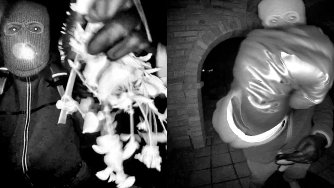 Nancy Guthrie Latest Update: Former FBI Agent Discusses 'Antenna' Seen in Perp's Pocket 