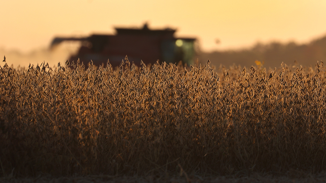 Trump call for crop sales to Iran met with skepticism by traders 