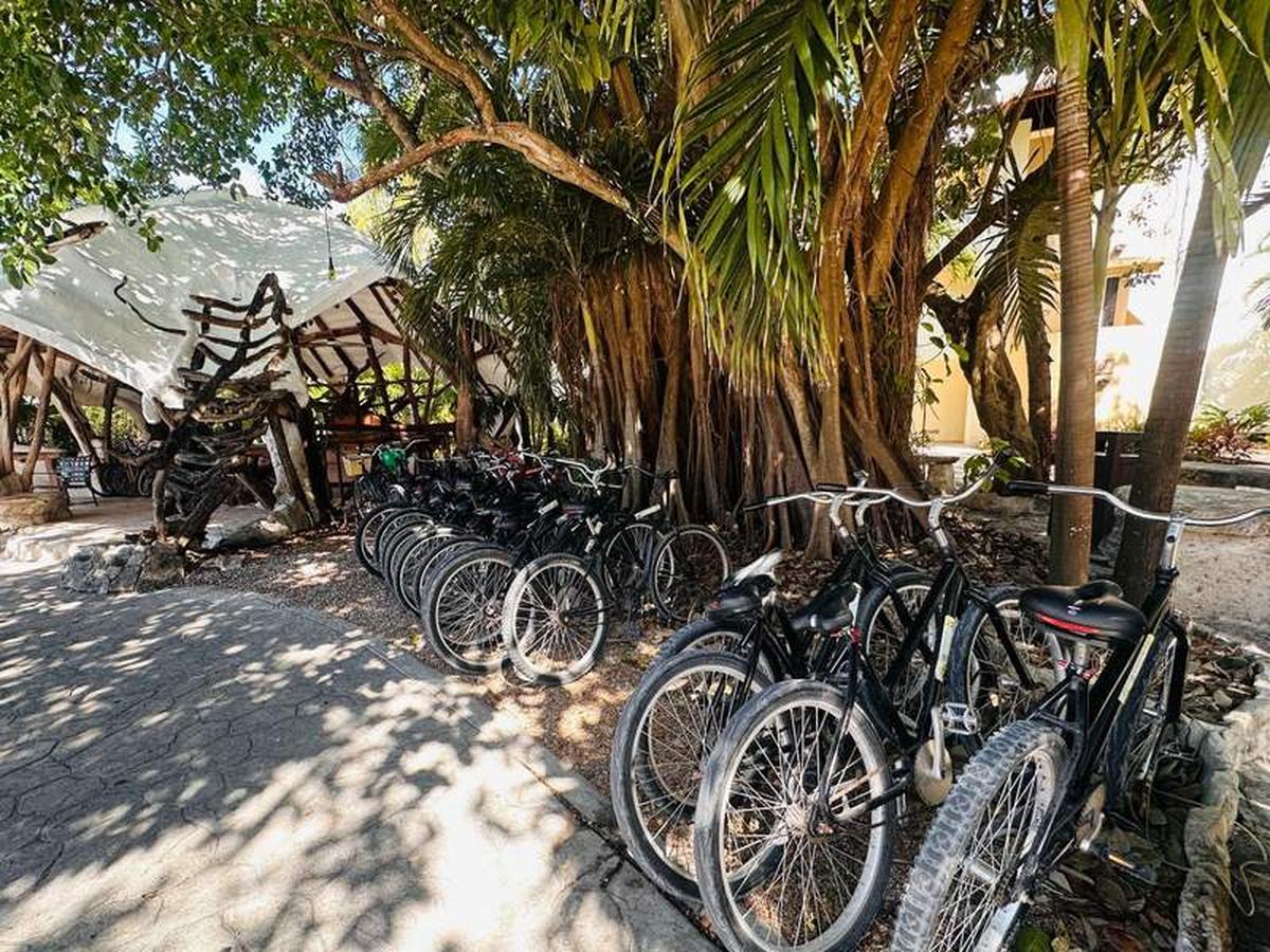 The complimentary bikes at Sandos Caracol Nature Resort made it much easier to explore the sprawling property, especially during the hottest parts of the afternoon. Photo credit: Shelly Peterson 