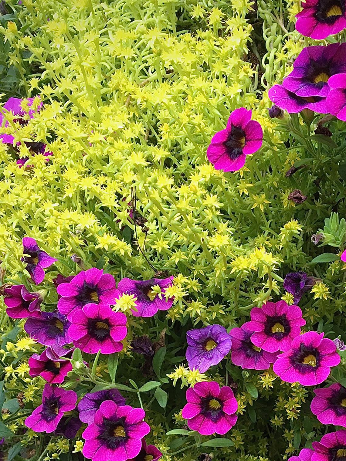 Norman Winter/Norman Winter/TNS