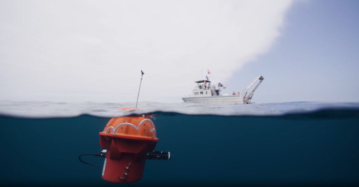  (University of Cambridge / Scripps Institution of Oceanography / Communications Earth and Environment via SWNS) 