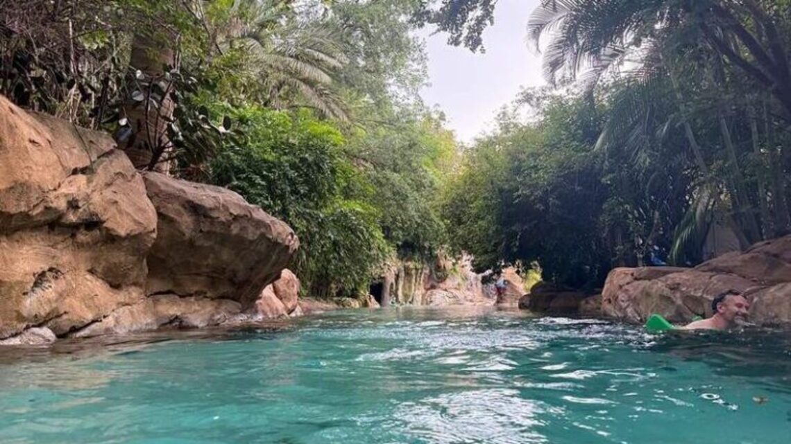 Discovery Cove Orlando: The All-Inclusive Theme Park Experience You Didn't Know You Needed 