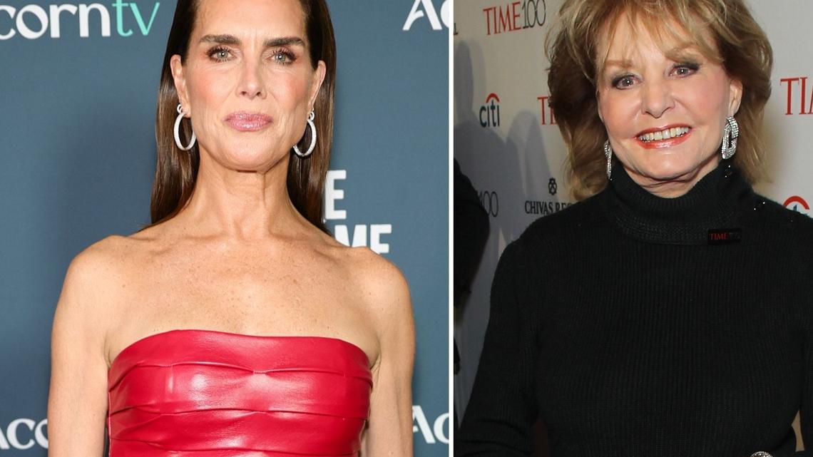 Brooke Shields Recalls Barbara Walters Asking Her Measurements When She Was 15 