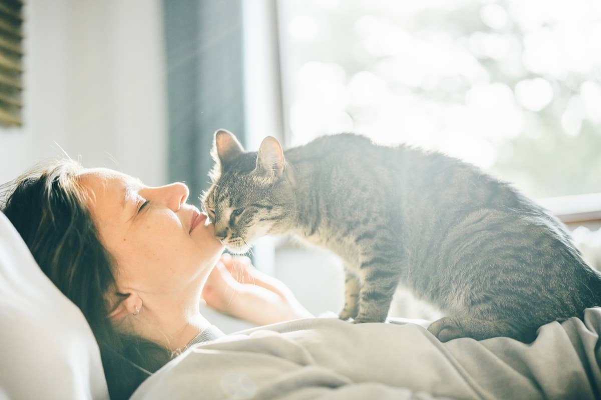  Affection on your cat's terms means everything to them.