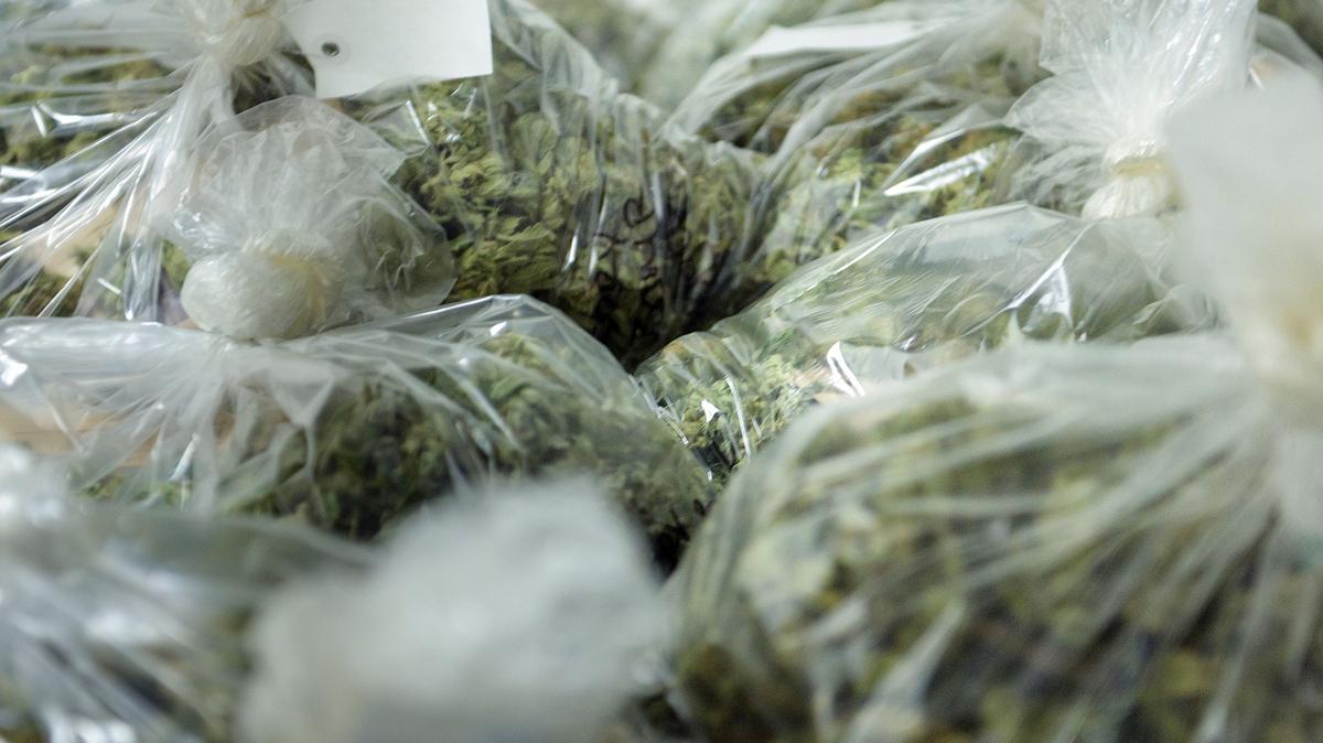Bags of buds from marijuana plants are seen at Alternative Solutions, a DC area medical marijuana producer, April 20, 2016, in Washington, DC. (Brendan Smialowski/AFP via Getty Images/TNS)