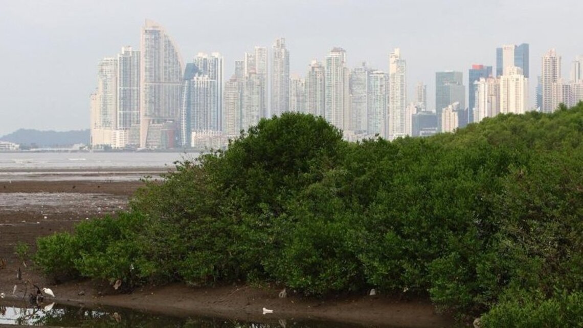 Panama named best country for expats for third straight year 