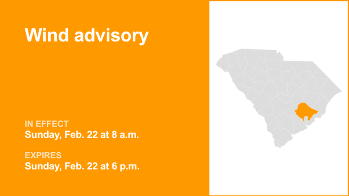 UPDATE: Wind advisory in place for Lowcountry Sunday evening 