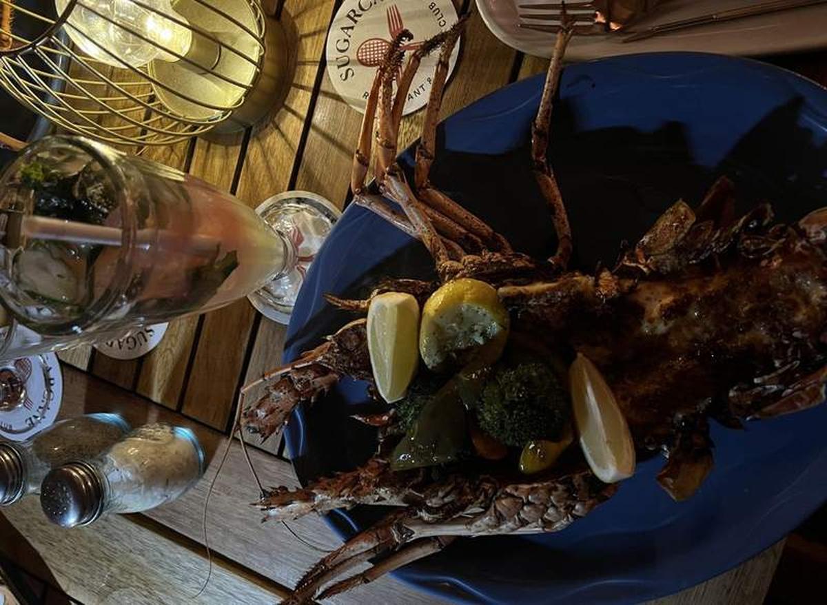  Sugarcane's Whole Grilled Lobster is a meal for the books. Photo credit: Alexa Mellardo 