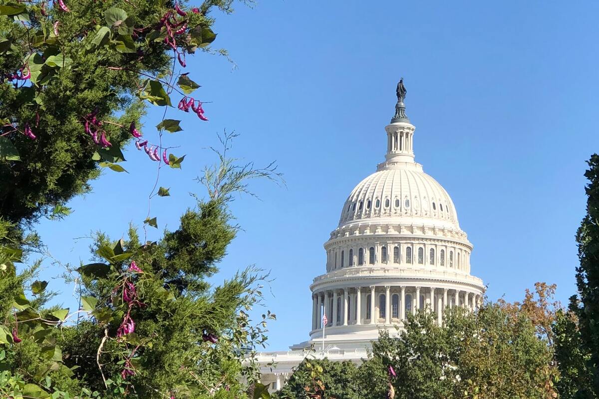  The Capitol Dome. Photo credit: Melissa Mortenson 