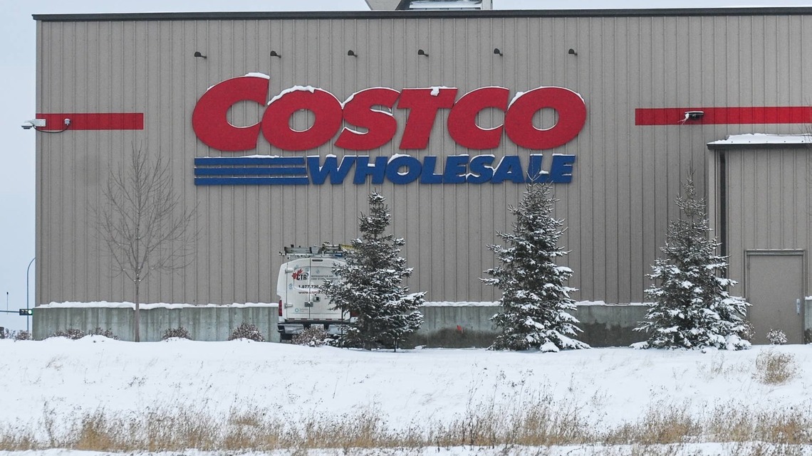 Costco Is Selling a Heated Jacket That's a Game Changer for Snowy Winter Dog Walks 