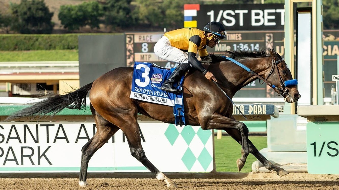'She Did Unbelievable': Super Corredora Returns With Front-End Win In Zenyatta 