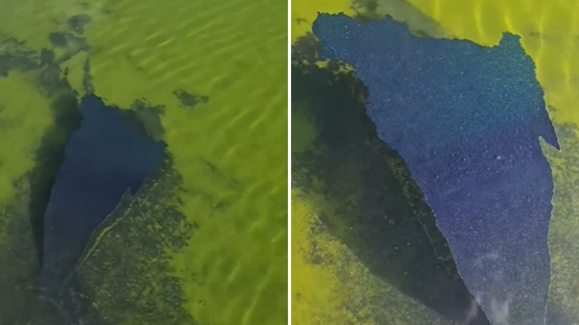Is the Lincoln Memorial Reflecting Pool Floor Already Peeling? 