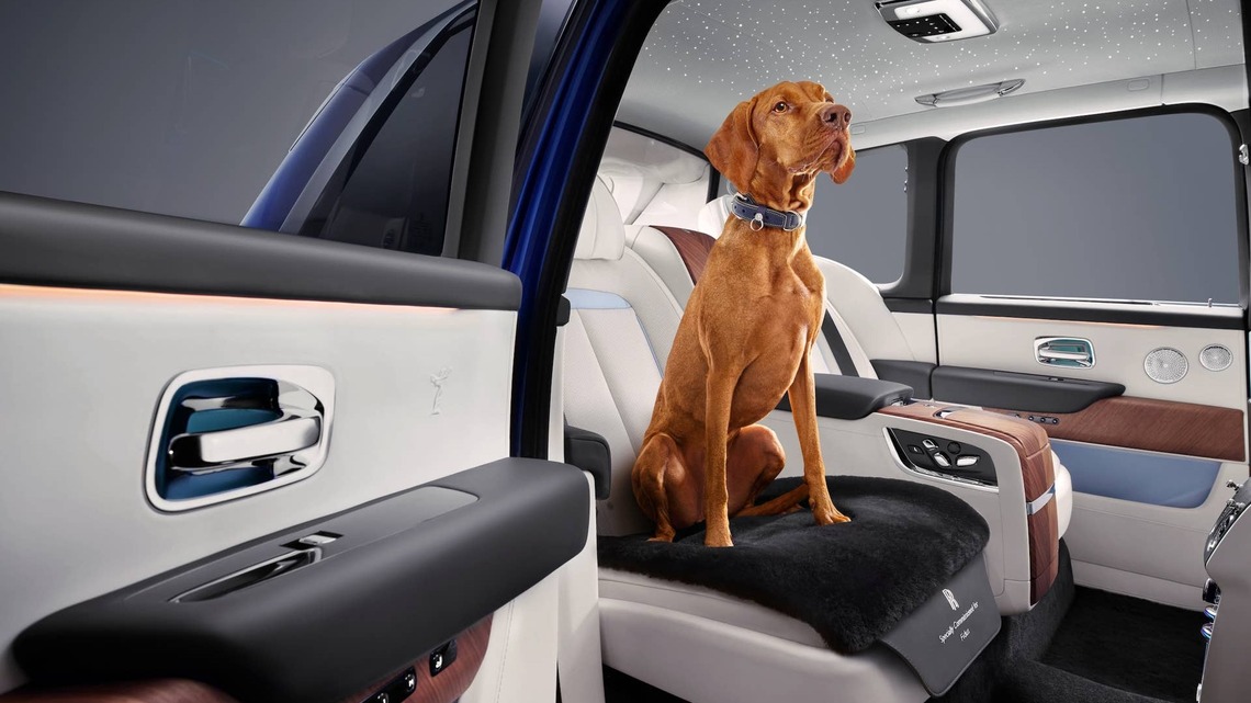 Dogs and Cats Are Changing What Americans Want From Their Cars