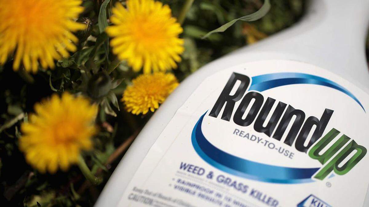 CHICAGO, ILLINOIS - MAY 14: Roundup weed killer is shown on May 14, 2019 in Chicago, Illinois. A jury yesterday ordered Monsanto, the maker of Roundup, to pay a California couple more than $2 billion in damages after finding that the weed killer had caused their cancer. This is the third jury to find Roundup had caused cancer since Bayer purchased Monsanto about a year ago. Bayer’s stock price has fallen more than 40 percent since the takeover. (Photo Illustration by Scott Olson/Getty Images)
