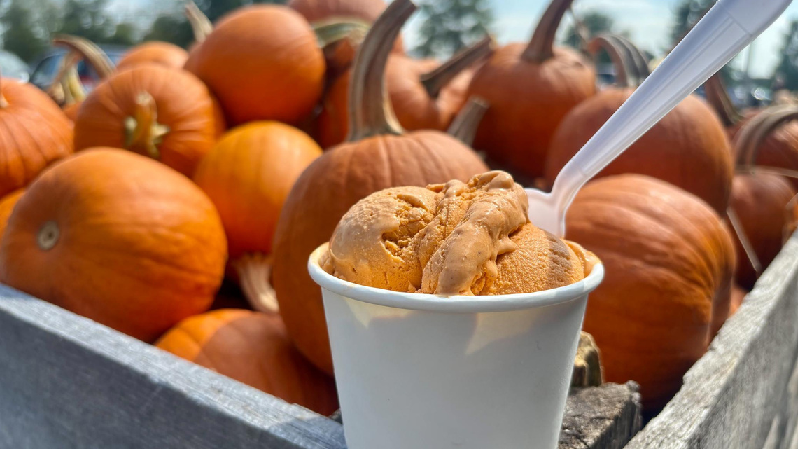 Two local pumpkin patches named among the country's best by USA TODAY