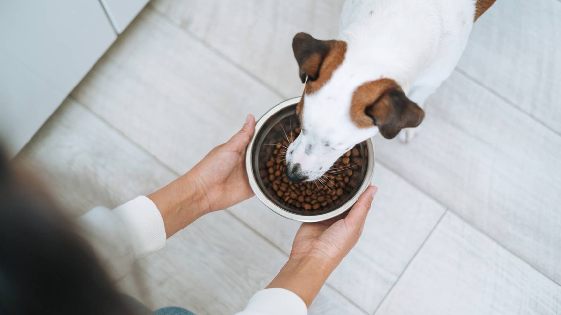 More pet products recalled in Washington state for salmonella. What to know