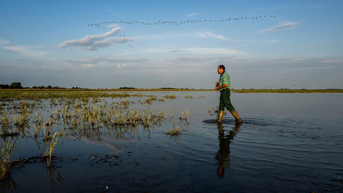 Hungary channels water to protect UNESCO bird haven amid drought 