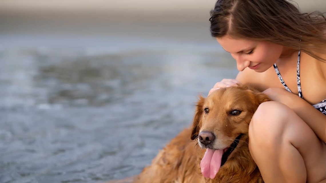 Golden Retriever Gets a Surprise Visit From His Bestie After Moving to Florida, and His Happy Zoomies Say It All 