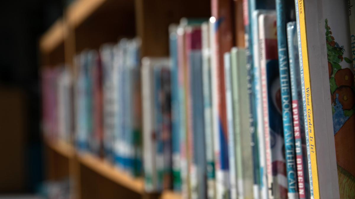 A Georgia senate panel advanced the creation of a book banning committee.