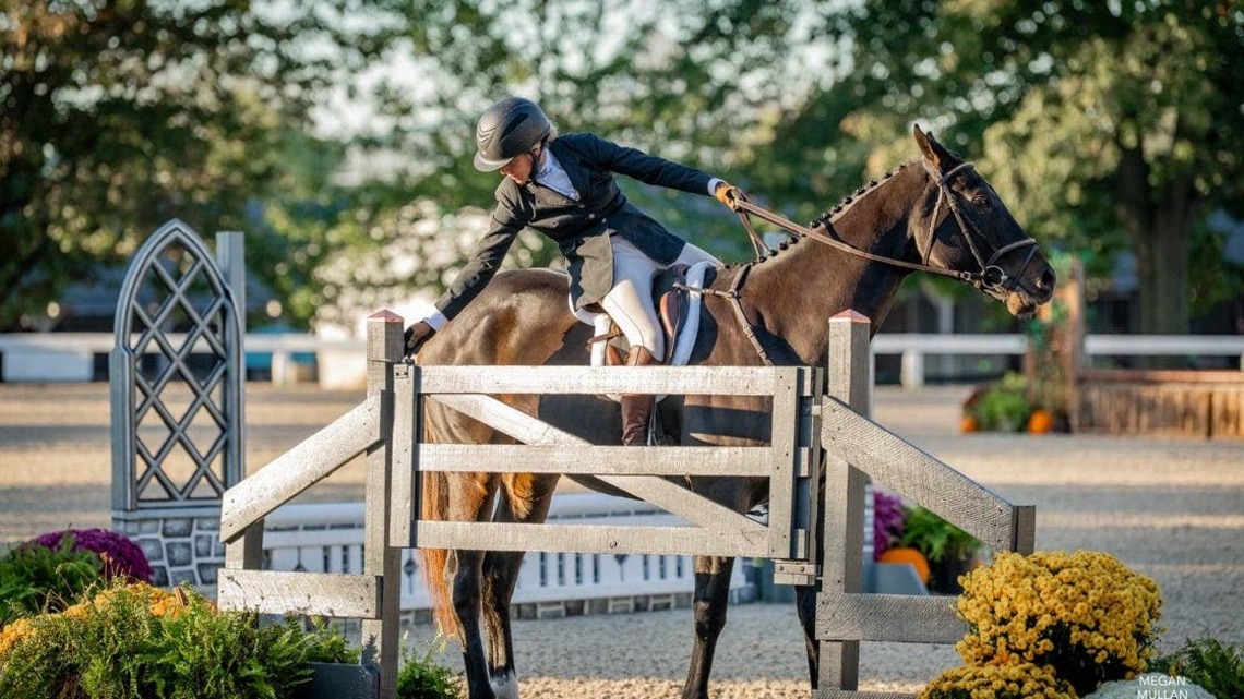 Making Claims: The Thoroughbred Makeover And The Slow March Of Winning Hearts And Minds 
