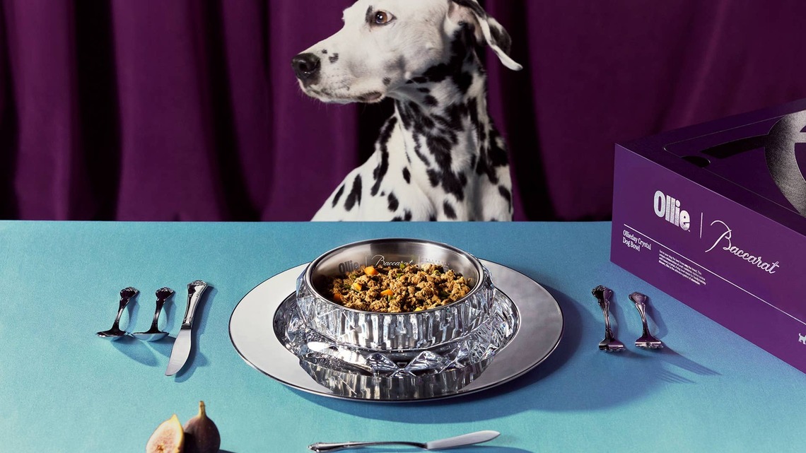 Ollie Made a $1,700 Baccarat Crystal Dog Bowl, Because Apparently Dogs Need Fine China Too 