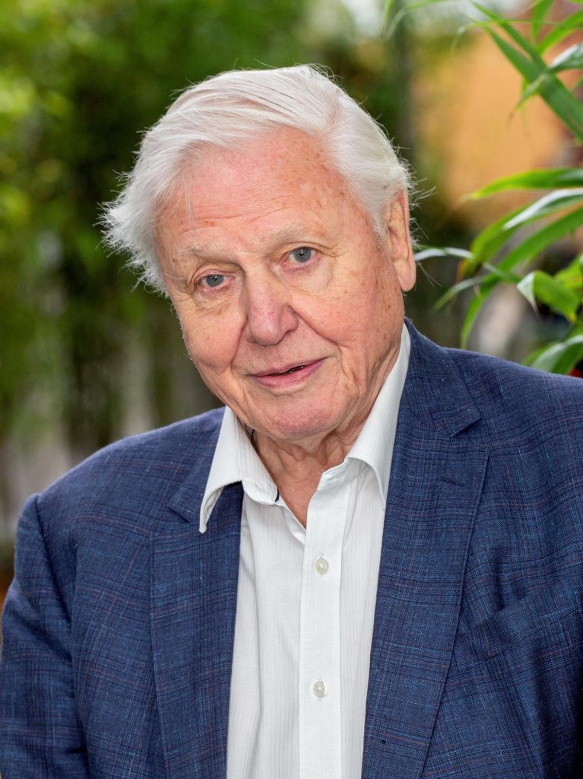  Sir David Attenborough turn 100 on May 8, 2026. (SWNS) 