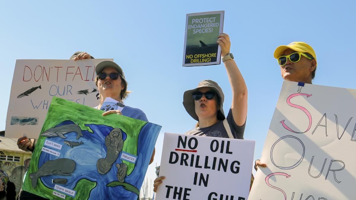 A protester holds up a sign reading "No oil drilling in the Gulf." About 20 people gathered near Al Lang Stadium in downtown St. Petersburg on May 16 to protest a string of recent federal decisions that roll back protections for Gulf of Mexico wildlife, including the critically endangered Rice's whale. (Max Chesnes/Tampa Bay Times/TNS)