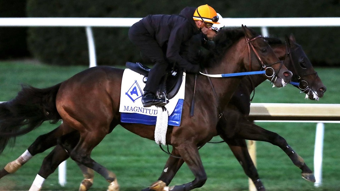 Magnitude Leads Keeneland Work Tab Of Breeders' Cup Contenders 