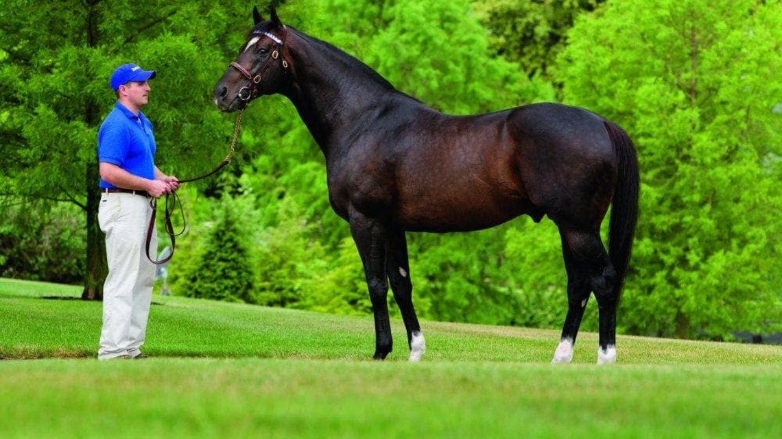 'A Legacy That Will Not Be Forgotten': Medaglia d'Oro Dies At 27 