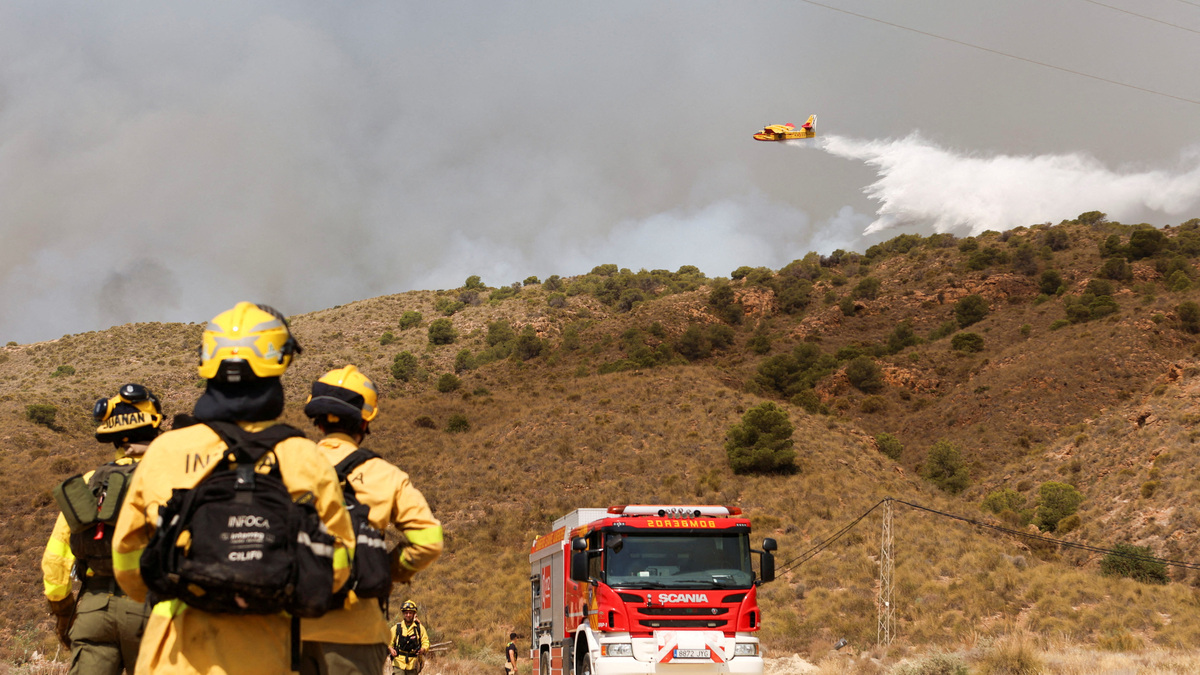 Forest firefighters look on as a firefighting plane dumps water during a wildfire in Los Gallardos, Almeria, Spain, July 10, 2026. REUTERS/Chema Artero