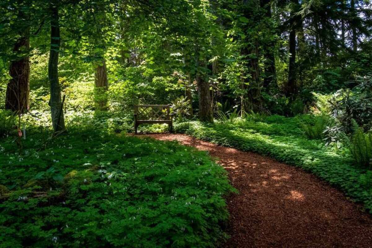  Pathways wind through the woods and gardens of the romantic Bloedel Reserve. Photo credit: June Russell-Chamberlin 