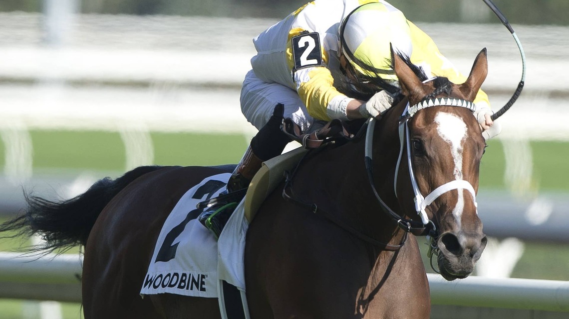 Wonder Where Stakes Winner Dixie Law Back For More In Ontario Damsel 