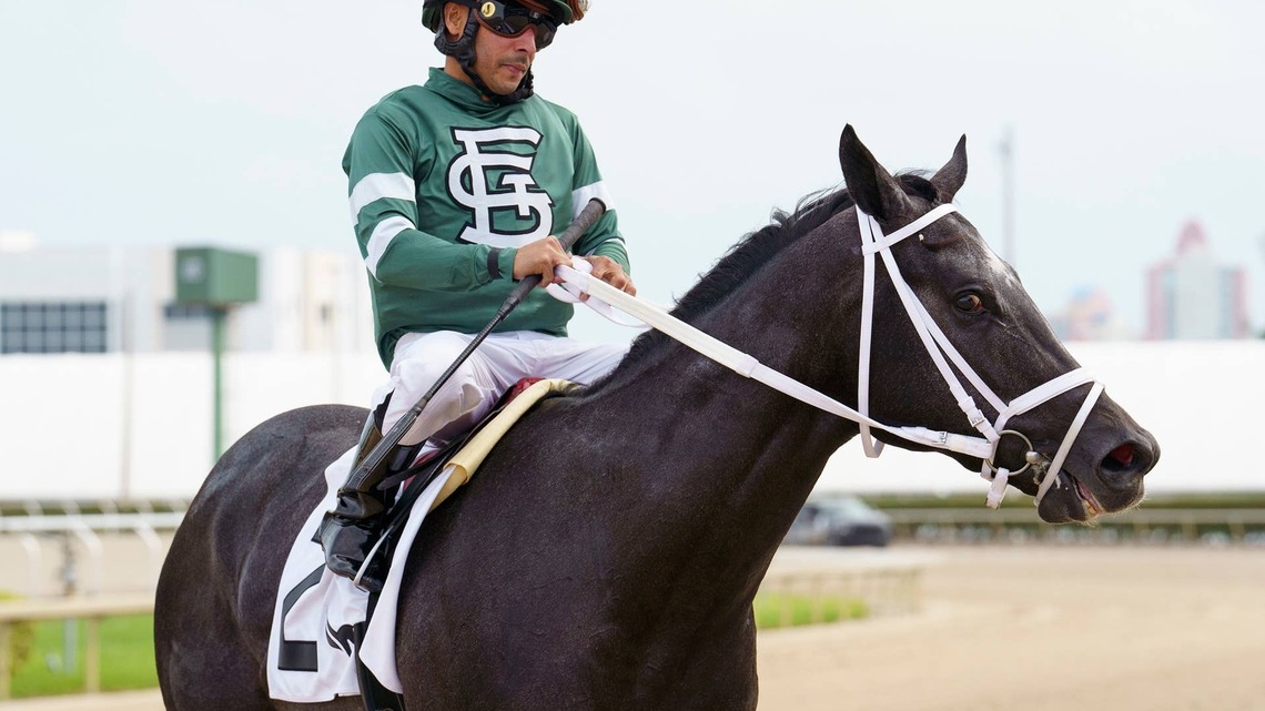 Stakes Winner Rated By Merit To Stand At Ocala Stud 