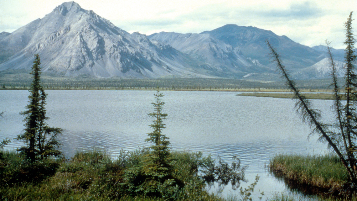 Oil companies continue to show little interest in Arctic refuge drilling 