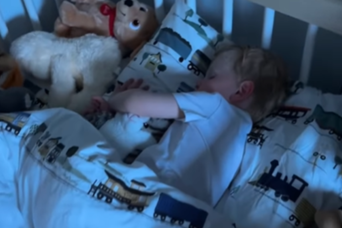  The 3-year-old toddler boy naps in his bed. 