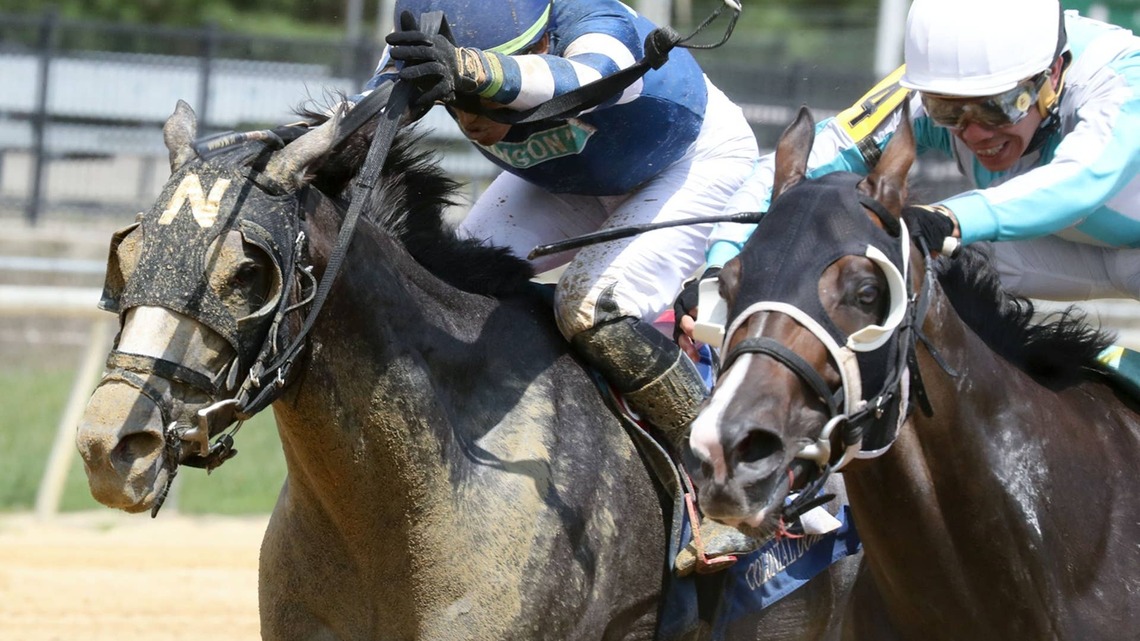 'Shows Up Every Time': Kerness K Notches 11th Consecutive Win 