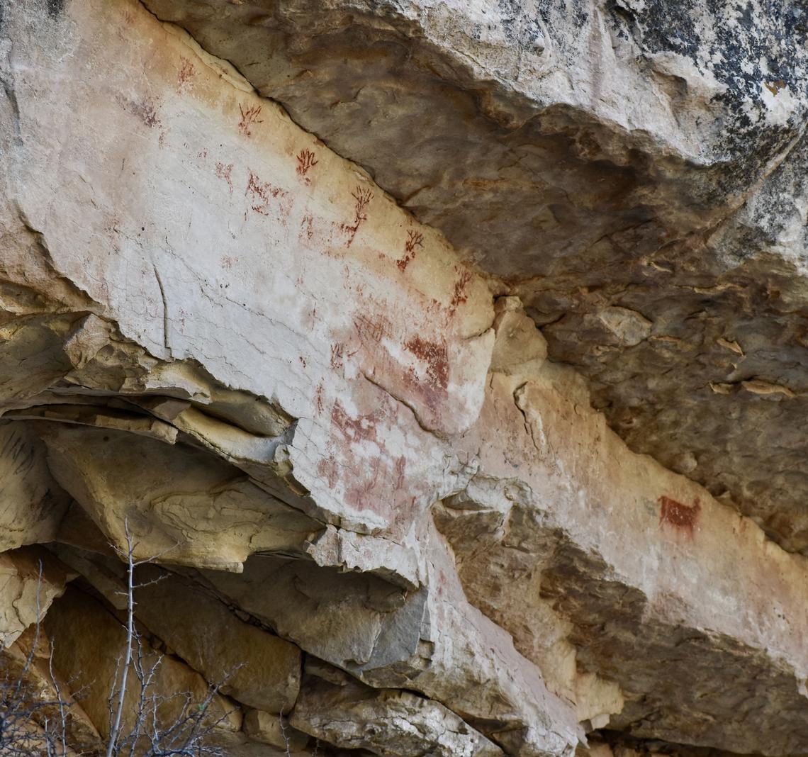 Lori Rackl/Lori Rackl/TNS