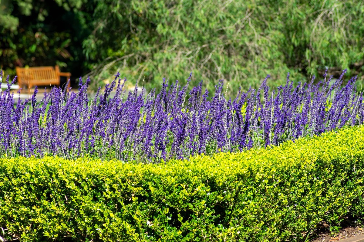arena photography