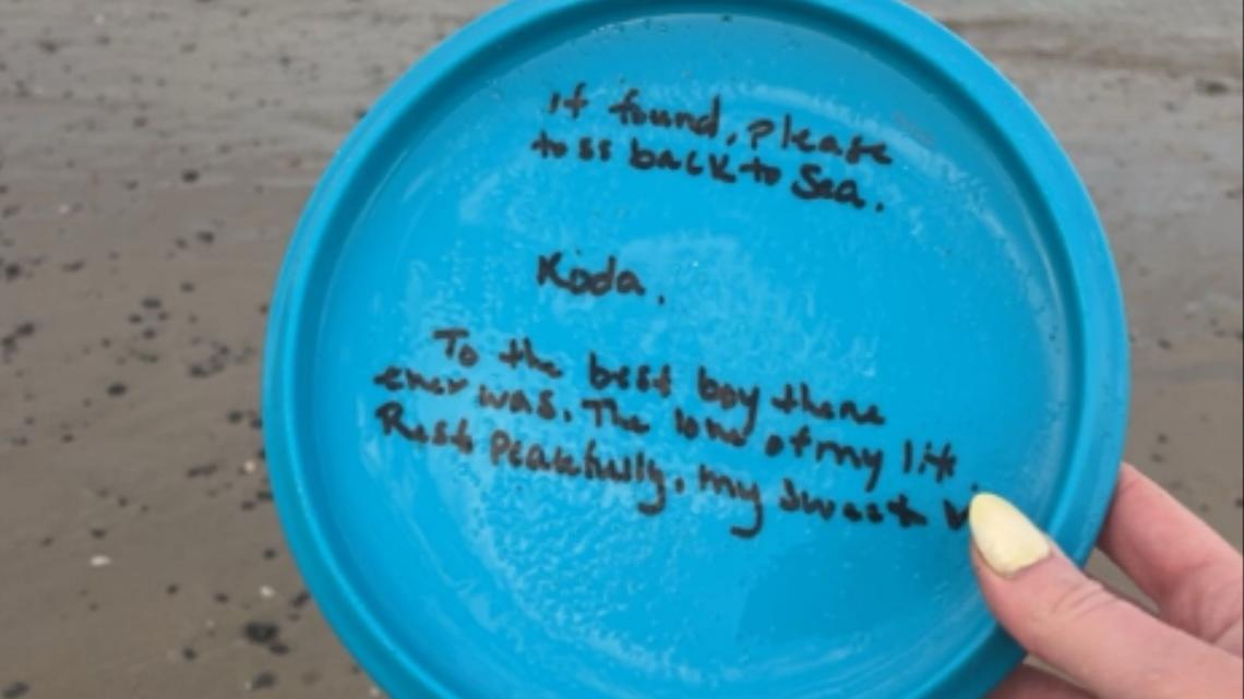 Woman Finds Dog's Toy on Beach-Then She Reads the Back, Says ‘I'm Not Okay' 