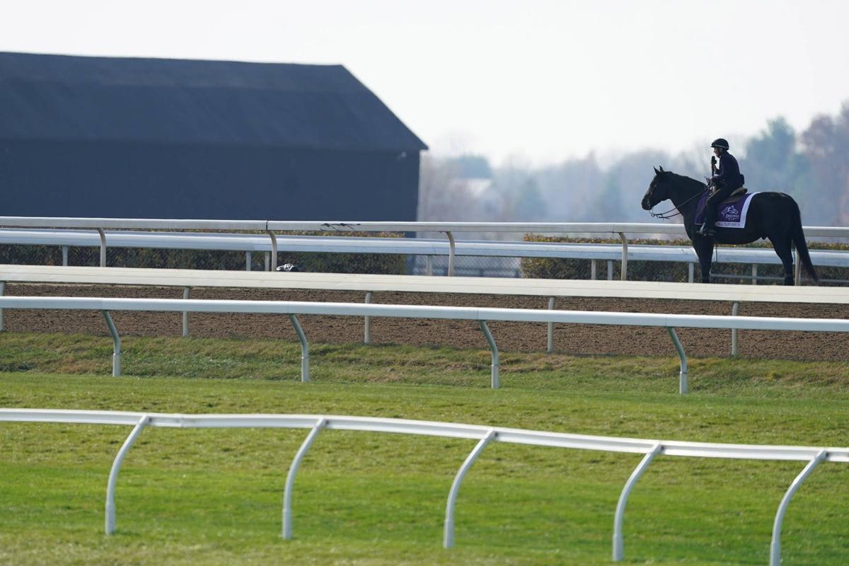  Nov 4, 2022; Lexington, KY, USA; Donna Brothers watches the horses enter the starting gate from her horse as she broadcast live for NBC at the Breeders' Cup in Lexington, Kentucky. Mandatory Credit: Pat McDonogh-USA TODAY NETWORK 