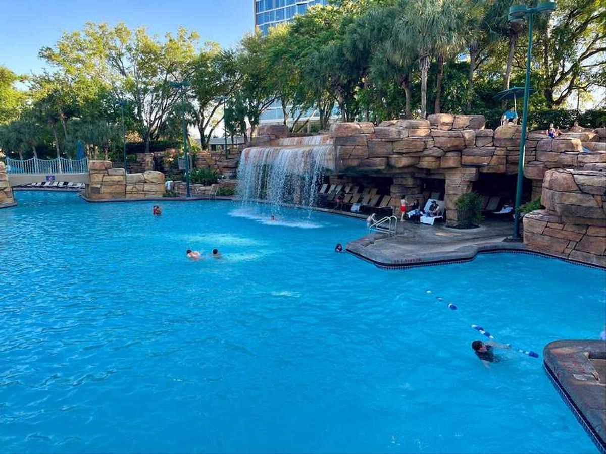  The Grotto Pool at the  Walt Disney World  Swan and Dolphin Resort features waterfalls and a twisting water slide. Photo credit: Linnea Bailey 