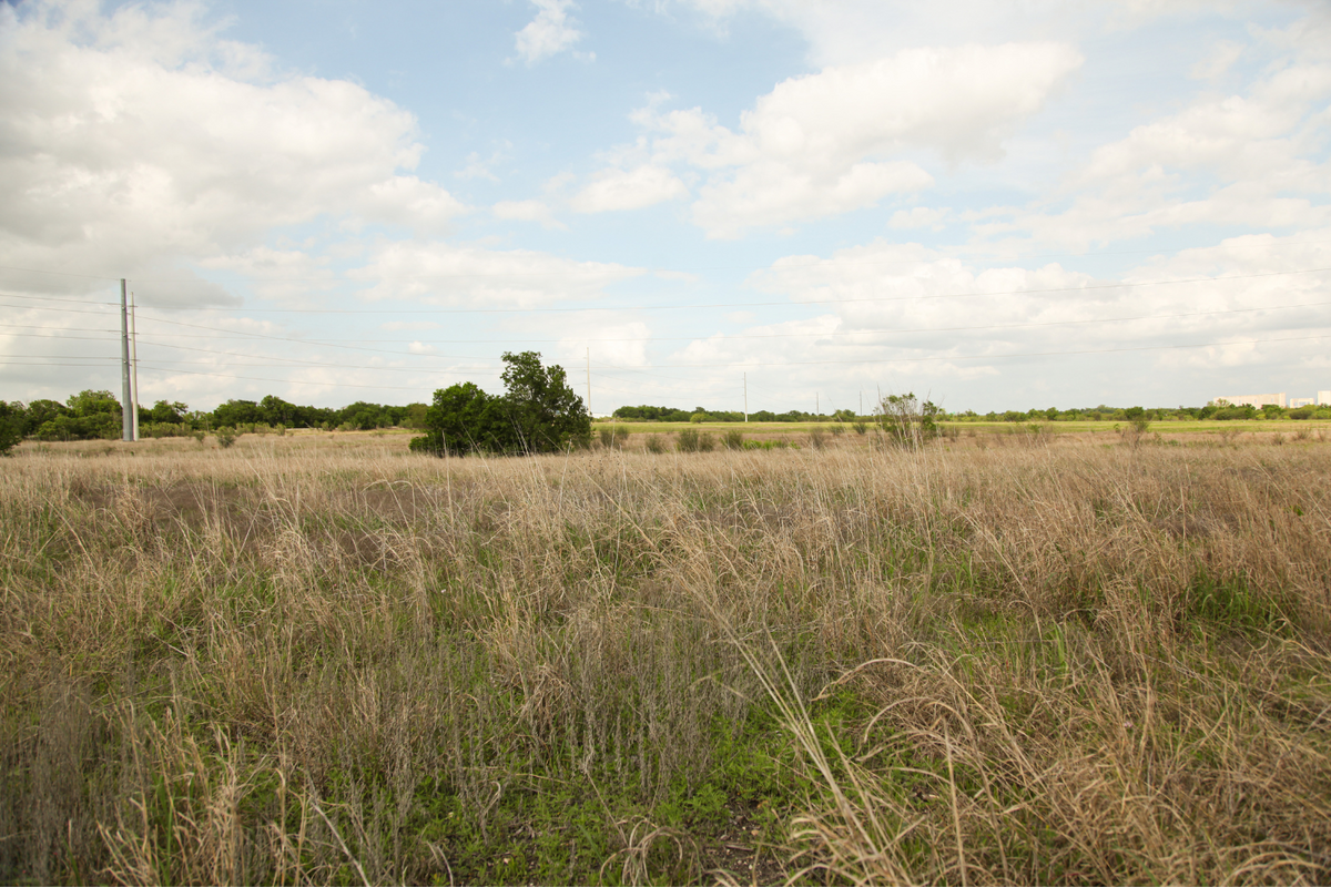  The current view from the community of the land. 